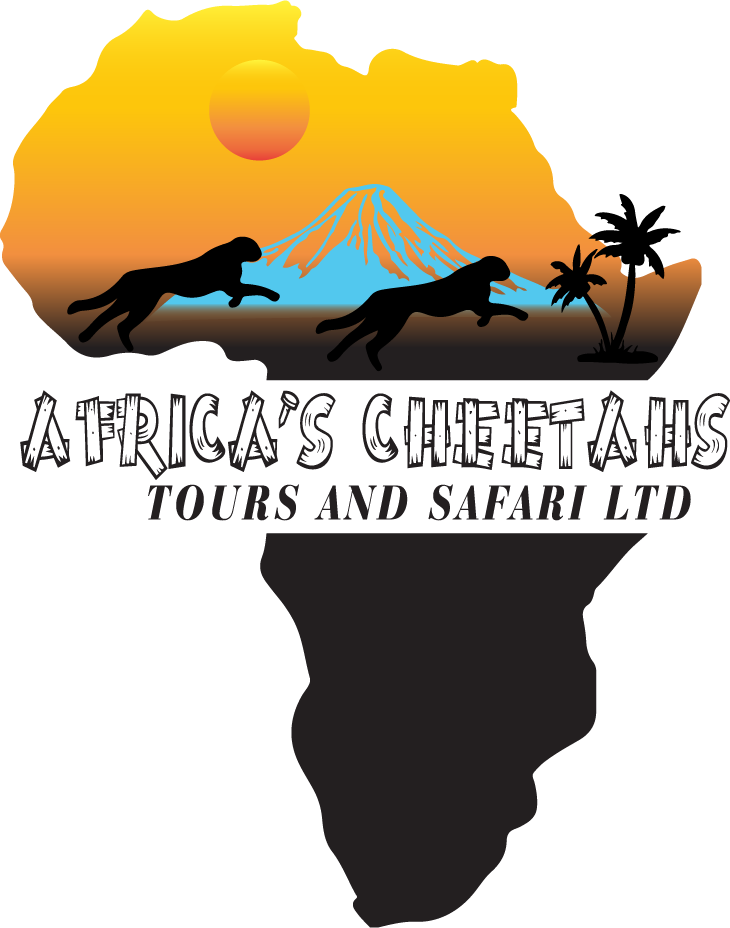 AFRICAS CHEETAHS TOURS AND SAFARI